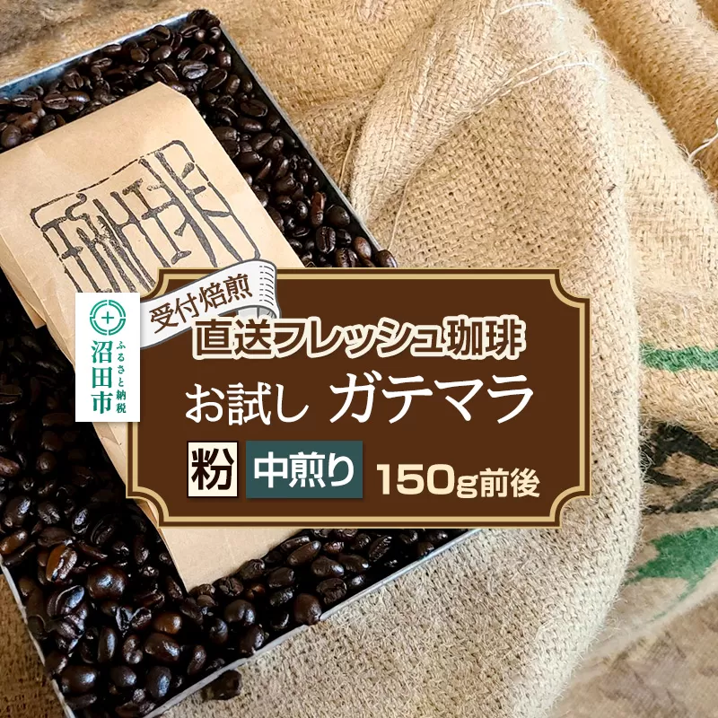 《受付焙煎》直送フレッシュ珈琲 お試し ガテマラ【粉／中煎り】約150g 珈琲倶楽部 沼田店