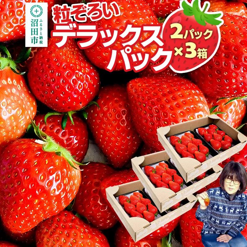 《2025年1月下旬以降発送》粒ぞろい「やよいひめ」デラックスパック 2パック×3箱 山口いちご園