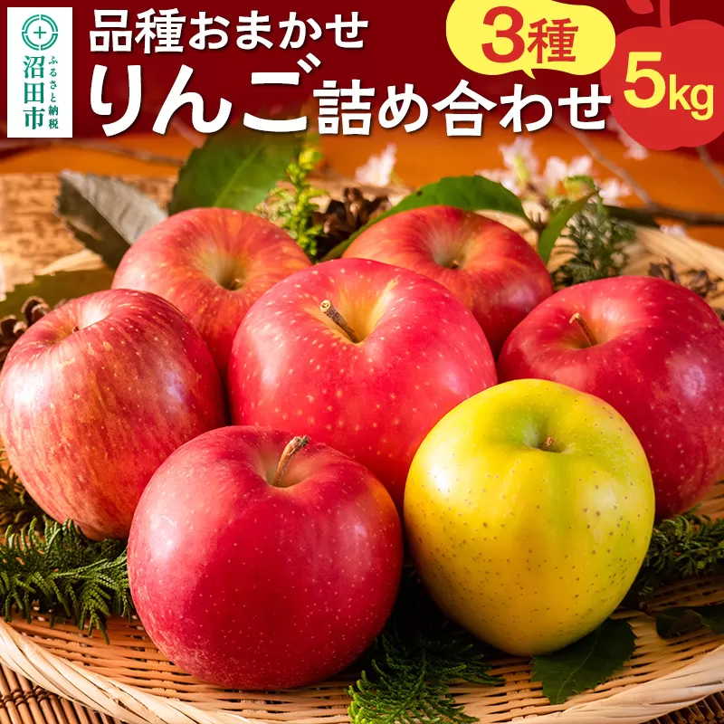 《2024年11月上旬以降発送》品種おまかせ 3種 りんご詰め合わせ 5kg 真田りんご園