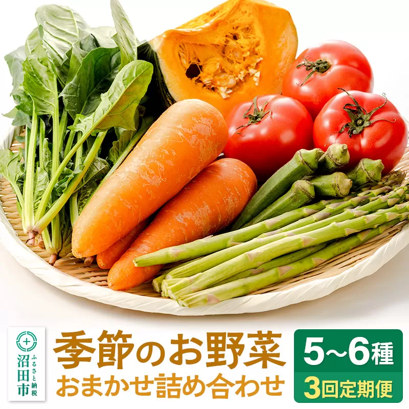 季節のお野菜 おまかせセット 季節ごとの3回お届け 定期便（1回あたり5〜6種類）詰め合わせ