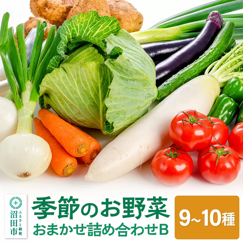 季節のお野菜 おまかせセット B（9〜10種類）詰め合わせ