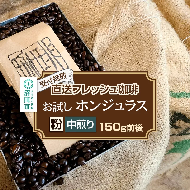 《受付焙煎》直送フレッシュ珈琲 お試し ホンジュラス【粉／中煎り】約150g 珈琲倶楽部 沼田店