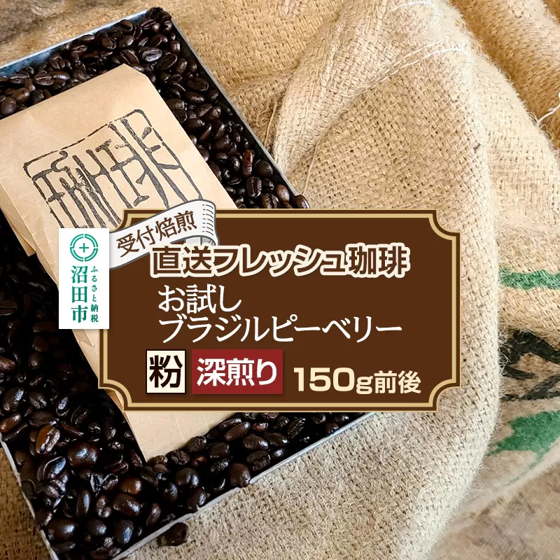 《受付焙煎》直送フレッシュ珈琲 お試し ブラジルピーベリー【粉／深煎り】約150g 珈琲倶楽部 沼田店