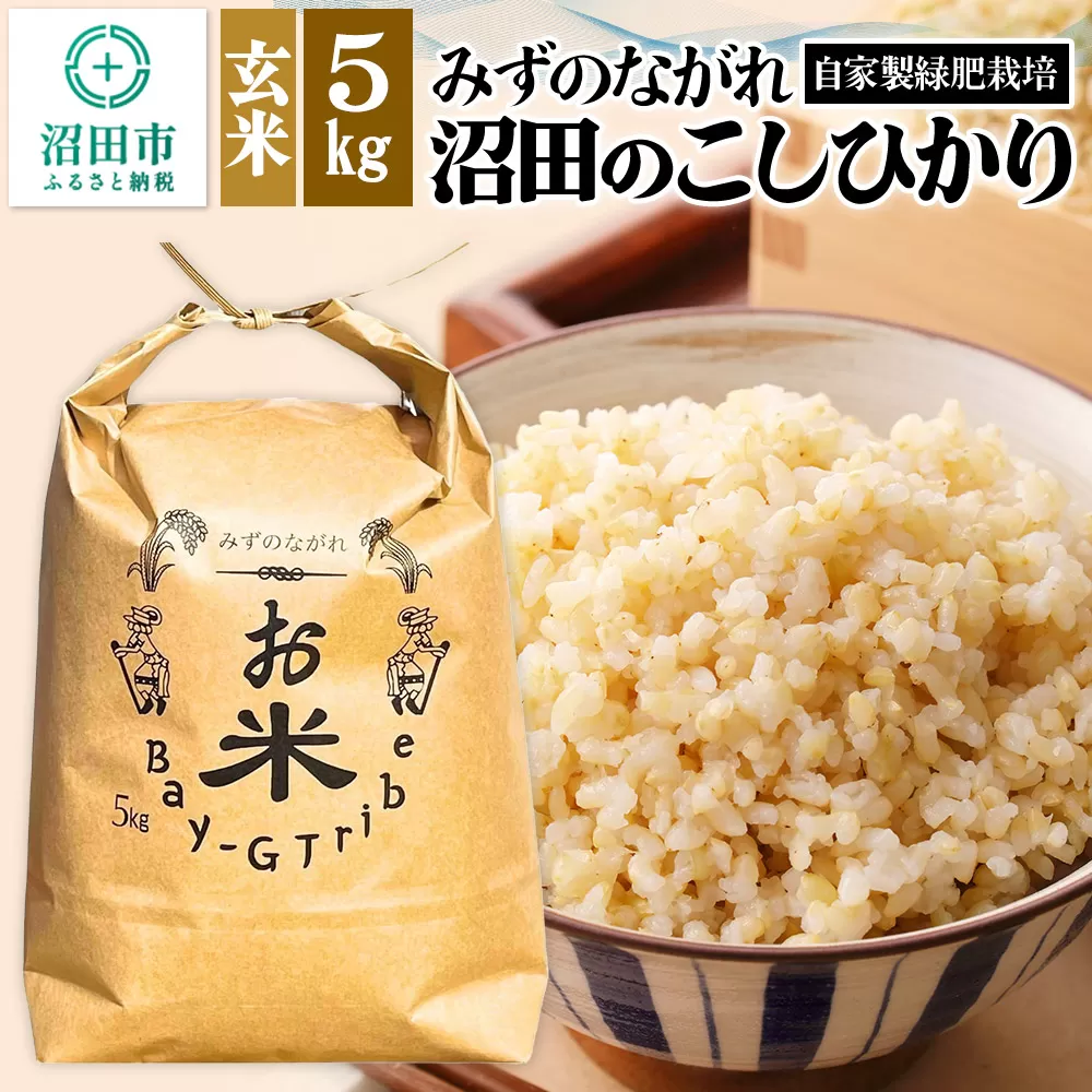 令和6年産 沼田のこしひかり「みずのながれ」玄米 5kg