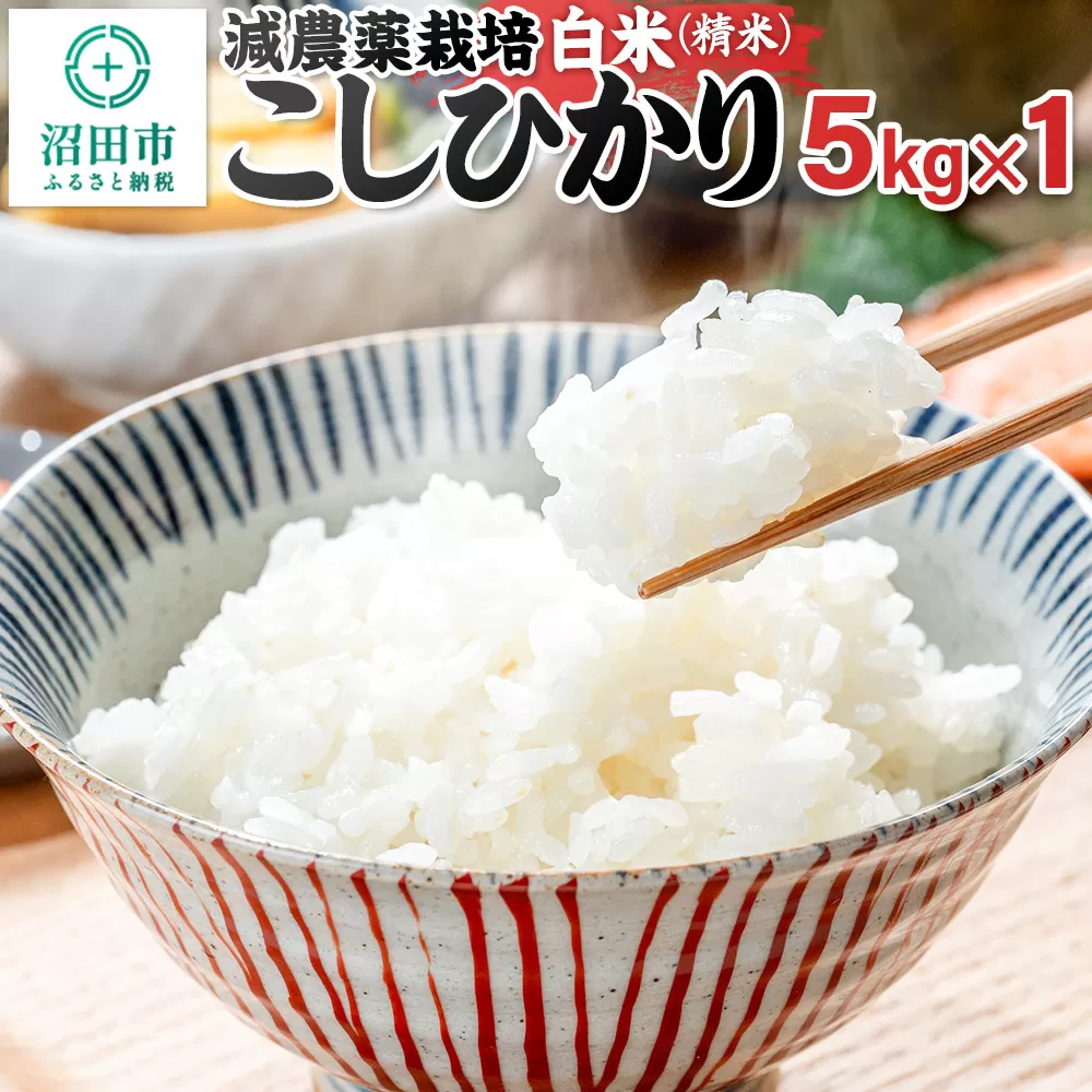 沼田市産 減農薬栽培こしひかり 白米 5kg 奥利根自然菜園