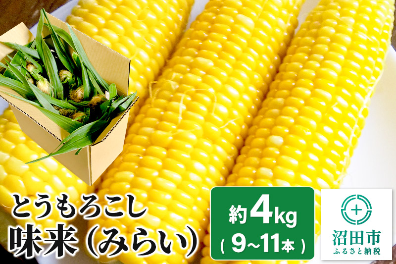 とうもろこし 味来 約4kg（9〜11本）｜沼田市｜群馬県｜返礼品をさがす