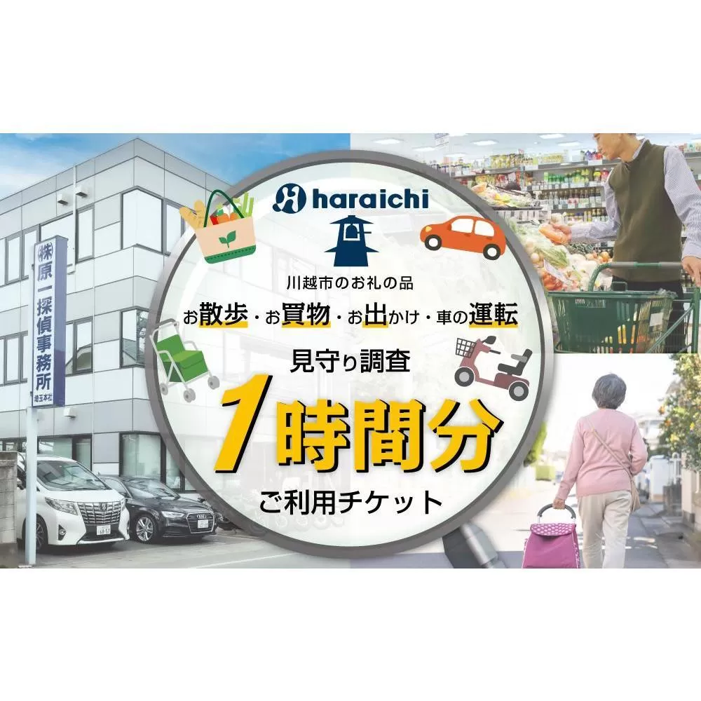 ご家族の散歩・買物・運転の見守り調査チケット（１時間分）