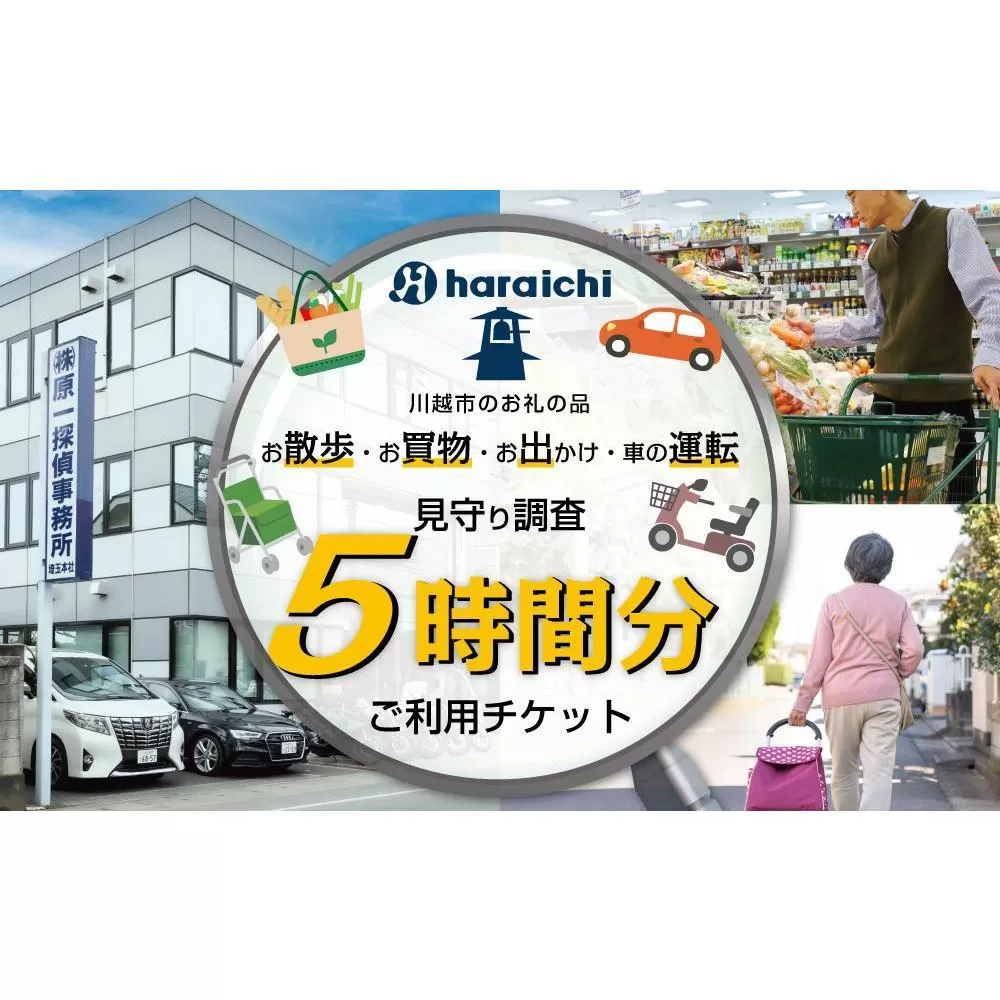 ご家族の散歩・買物・運転の見守り調査チケット（５時間分）