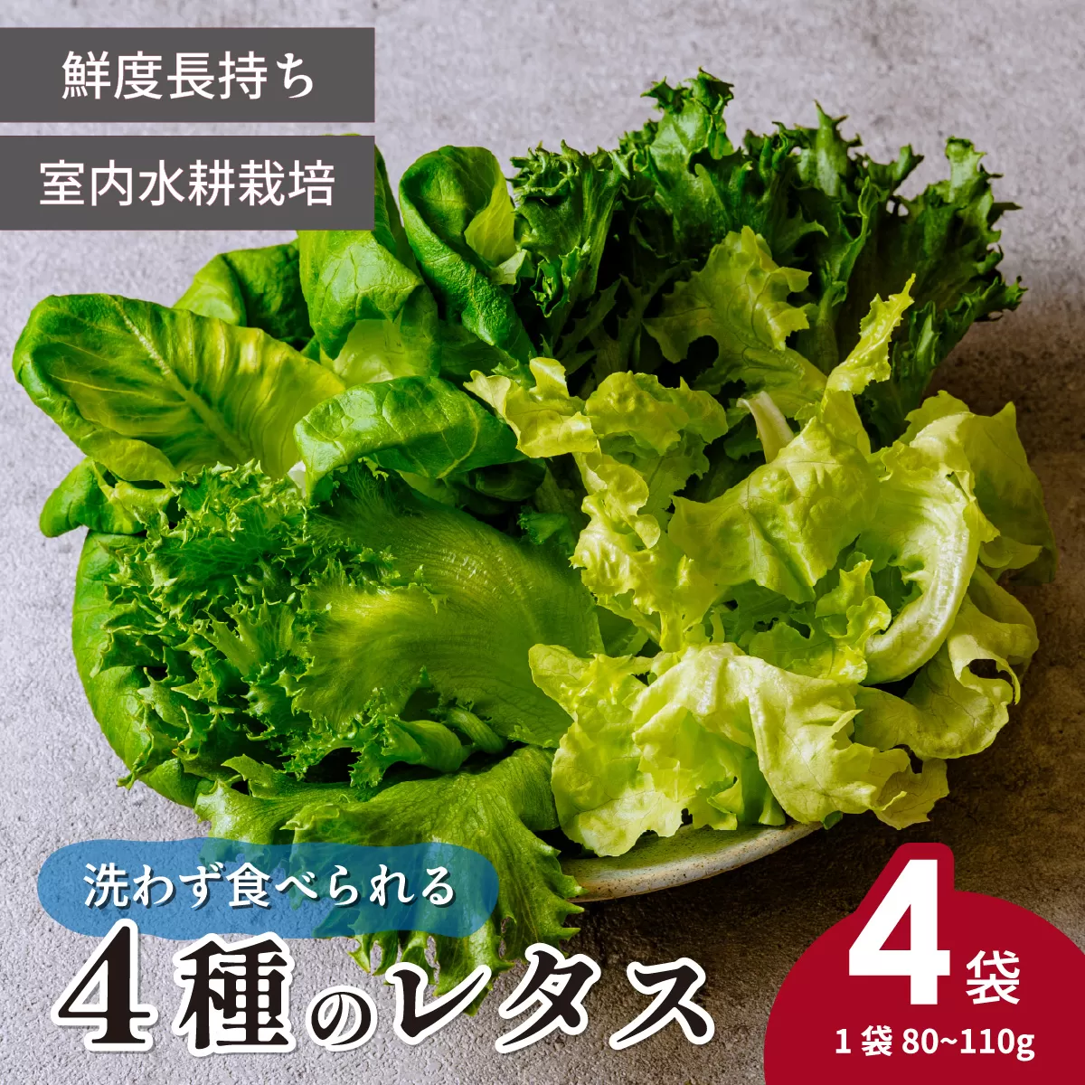 [洗わず食べられる・室内水耕栽培] レタス4種 | 農薬不使用 4種レタス 洗わずに食べられる 新鮮レタス オーガニック野菜 無農薬 野菜直送 フレッシュ サラダ用野菜 健康志向 こだわり フレッシュ 産地直送 食品ギフト セット 緑黄色野菜 送料無料 ふるさと納税 ダイエット 新鮮 安心野菜 埼玉県 東松山市