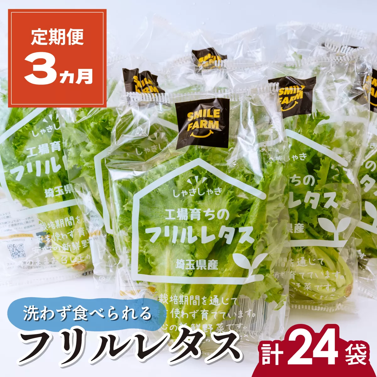 【定期便3ヶ月】 ＜洗わず食べられる・室内水耕栽培＞ フリルレタス 8袋(80～110g/袋)×3ヶ月 計24袋 | レタス 洗わずに食べられる 大容量 新鮮レタス オーガニック野菜 無農薬 野菜直送 フレッシュ サラダ用野菜 健康志向 こだわり フレッシュ 産地直送 食品ギフト セット 緑黄色野菜 新鮮 安心野菜 旬 低カロリー レタスボウル カロテン 定期便 埼玉県 東松山市