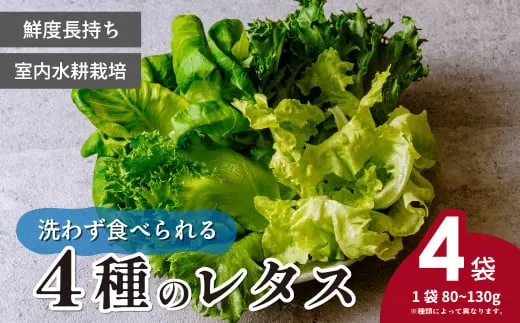 [洗わず食べられる・室内水耕栽培] レタス4種 | 農薬不使用 4種レタス 洗わずに食べられる 新鮮レタス オーガニック野菜 無農薬 野菜直送 フレッシュ サラダ用野菜 健康志向 こだわり フレッシュ 産地直送 食品ギフト セット 緑黄色野菜 送料無料 ふるさと納税 ダイエット 新鮮 安心野菜 埼玉県 東松山市