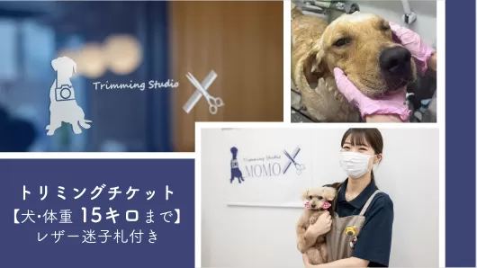 トリミングチケット【犬15kgまで】レザー迷子札付き