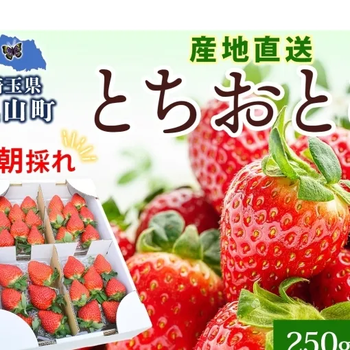 朝採れ とちおとめ 完熟 イチゴ 250g× 4パック セット 1kg 産直 果物 いちご デザート スイーツ 甘い 美味しい 真っ赤 酸味 ハウス 甘味 バランス 品質管理 手摘み 冷蔵 埼玉県 嵐山町