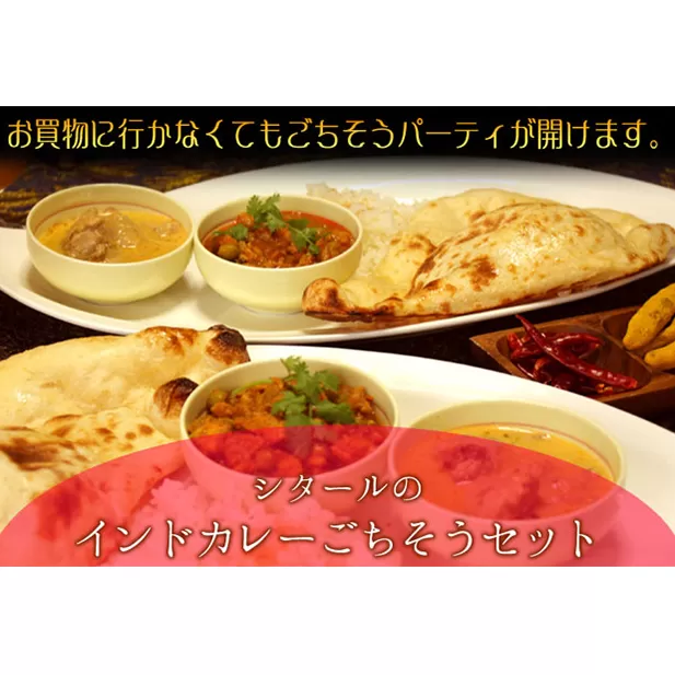 印度料理シタール インドカレー中ごちそうセット【カレー 加工食品 レトルト食品】