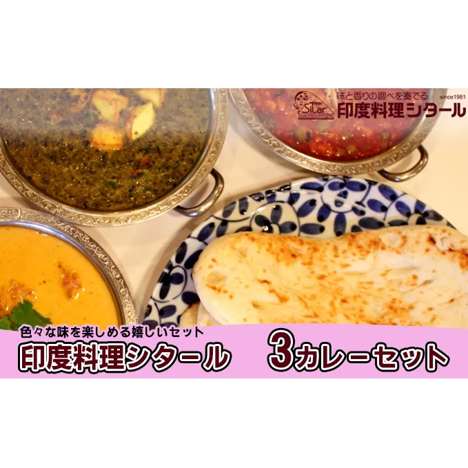 印度料理シタール 3カレーセット【カレー 詰め合わせ 加工食品 レトルト食品 惣菜 レトルト 簡単調理 】