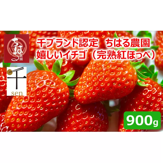 千葉市食のブランド認定　嬉しいイチゴ　完熟紅ほっぺ　900g（2パック）【千ブランド イチゴ 苺 おやつ 果物】