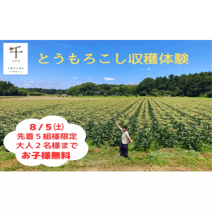 三ツ星コーン収穫体験　８月５日（土）　先着５組様限定