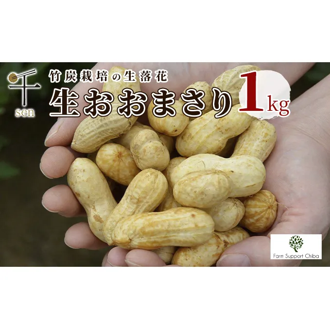 生落花生おおまさり1kg　千ブランド