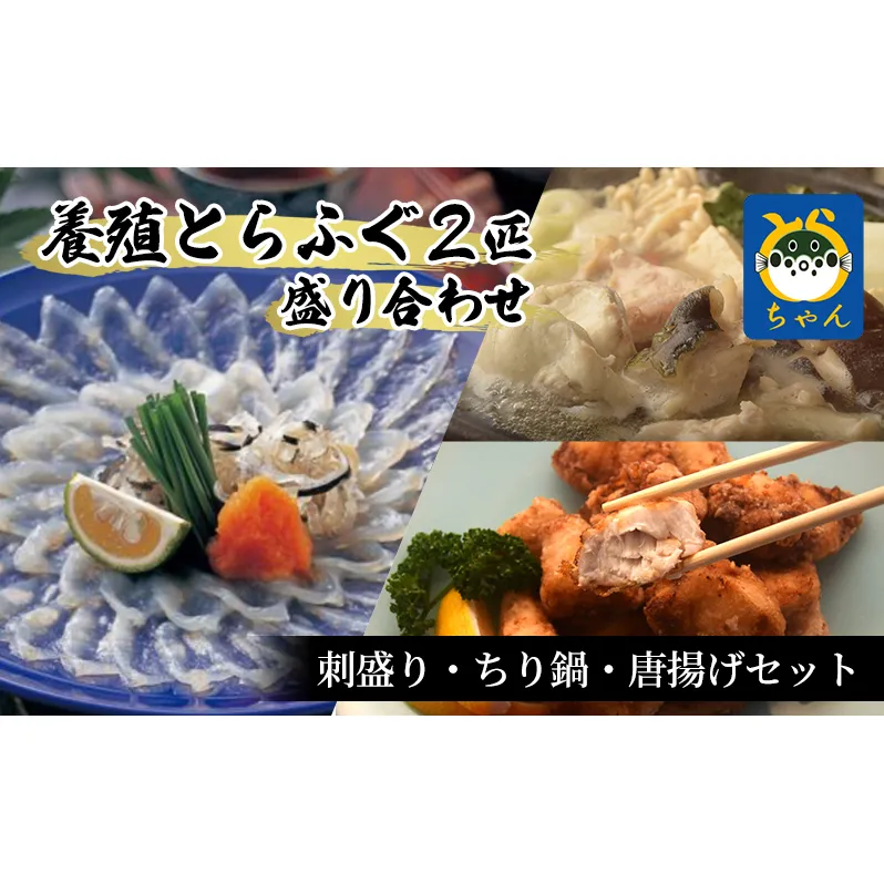 【国産】養殖とらふぐ2匹盛り合わせ　刺盛り・ちり鍋・唐揚げセット