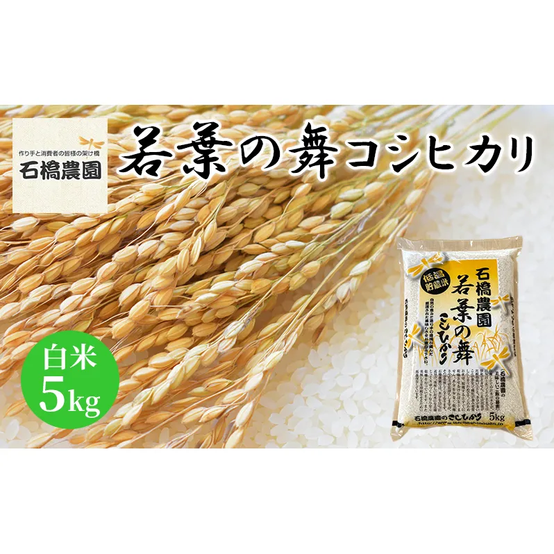 米 若葉の舞 コシヒカリ 白米5kg こしひかり お米 白米 精米 千葉 千葉県 低温保存