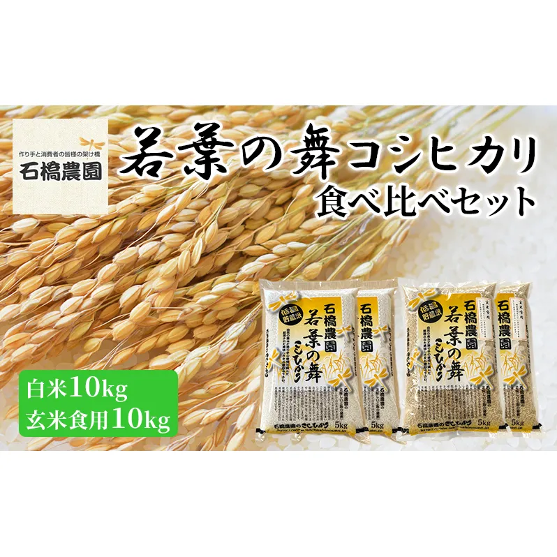 米 若葉の舞 コシヒカリ 白米10kg玄米食用10kg 食べ比べセット こしひかり お米 白米 玄米 セット 食べ比べ 精米 千葉 千葉県 低温保存