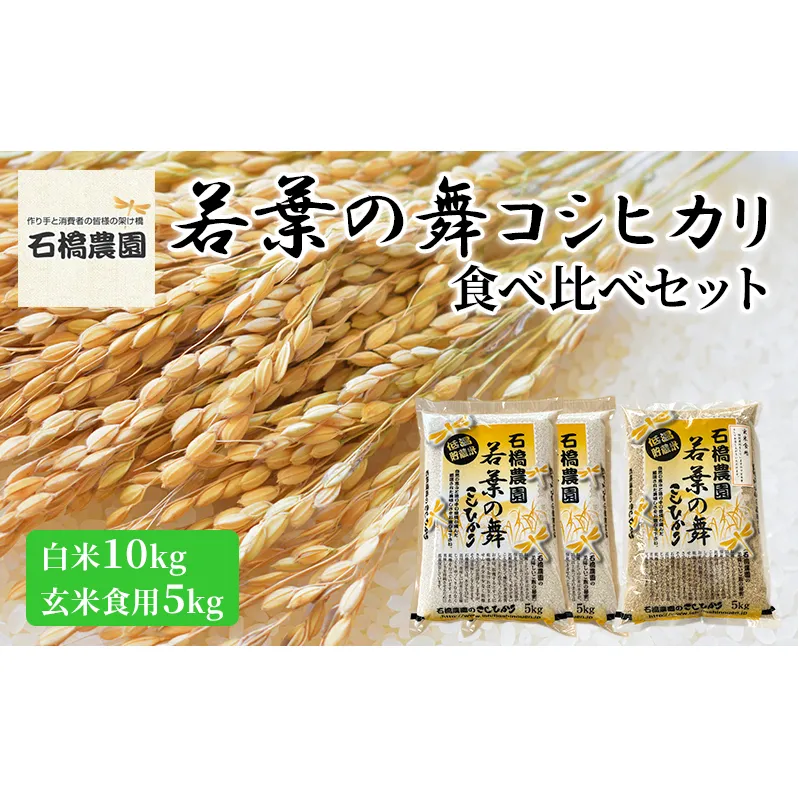 米 若葉の舞 コシヒカリ 白米10kg玄米食用5kg 食べ比べセット こしひかり お米 白米 玄米 セット 食べ比べ 精米 千葉 千葉県 低温保存