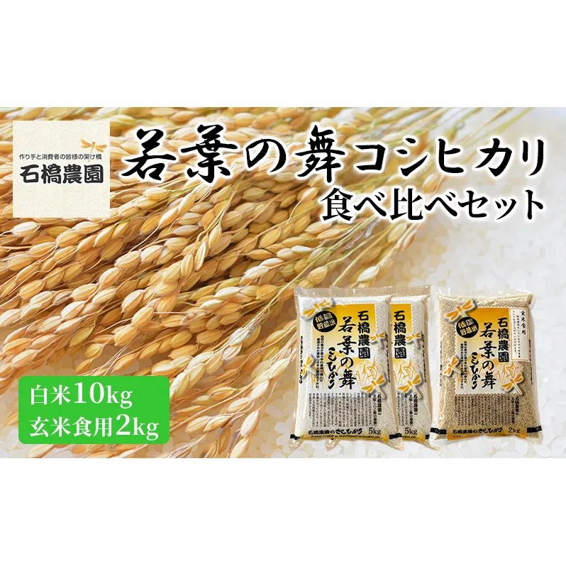 米 若葉の舞 コシヒカリ 白米10kg玄米食用2kg 食べ比べセット こしひかり お米 白米 玄米 セット 食べ比べ 精米 千葉 千葉県 低温保存