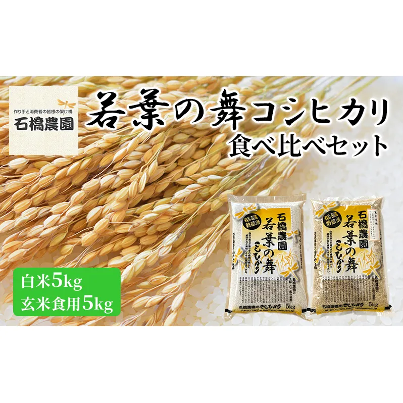 米 若葉の舞 コシヒカリ 白米5kg玄米食用5kg 食べ比べセット こしひかり お米 白米 玄米 セット 食べ比べ 精米 千葉 千葉県 低温保存