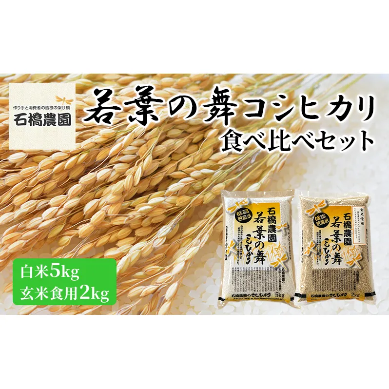 米 若葉の舞 コシヒカリ 白米5kg玄米食用2kg 食べ比べセット こしひかり お米 白米 玄米 セット 食べ比べ 精米 千葉 千葉県 低温保存