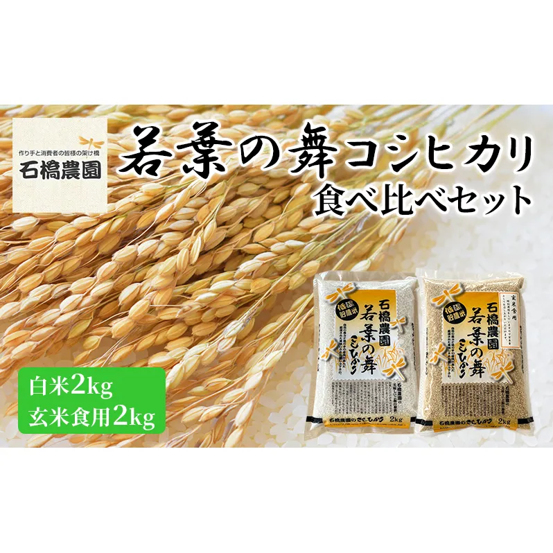 米 若葉の舞 コシヒカリ 白米2kg玄米食用2kg 食べ比べセット こしひかり お米 白米 玄米 セット 食べ比べ 精米 千葉 千葉県 低温保存