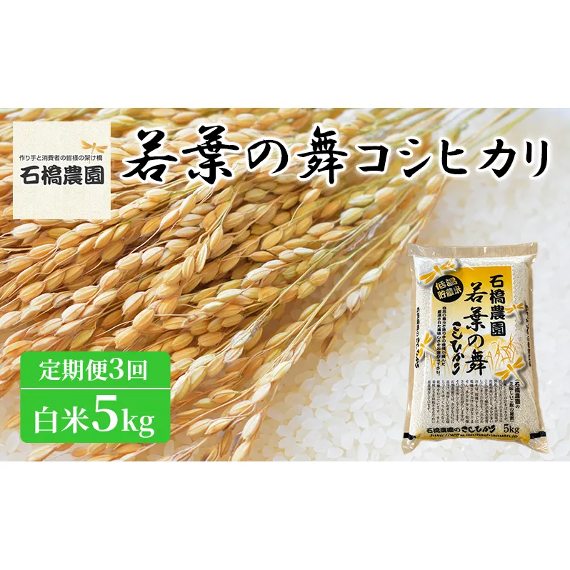 米 若葉の舞 コシヒカリ 白米5kg 定期便3回 こしひかり お米 白米 定期便 精米 千葉 千葉県 低温保存