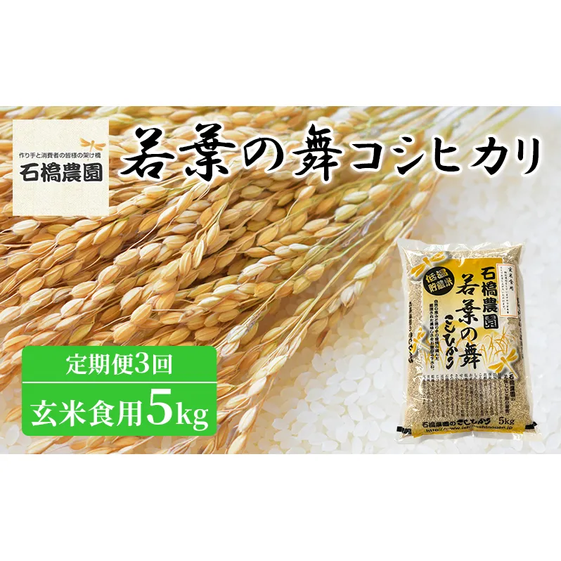 米 若葉の舞 コシヒカリ 玄米食用5kg 定期便3回 こしひかり お米 玄米 定期便 千葉 千葉県 低温保存