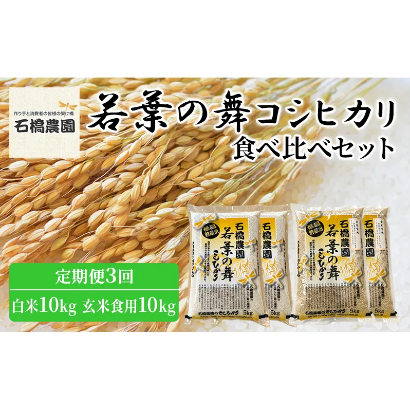 米 若葉の舞 コシヒカリ 白米10kg玄米食用10kg 食べ比べセット 定期便3回 こしひかり お米 白米 玄米 セット 食べ比べ 定期便 精米 千葉 千葉県 低温保存