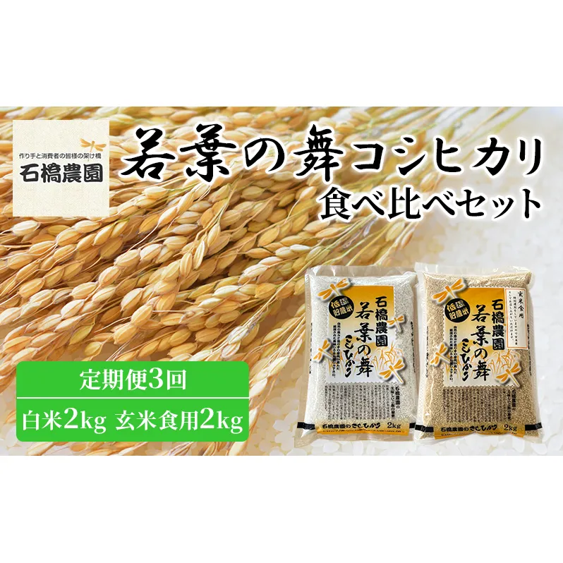 米 若葉の舞 コシヒカリ 白米2kg玄米食用2kg 食べ比べセット 定期便3回 こしひかり お米 白米 玄米 セット 食べ比べ 定期便 精米 千葉 千葉県 低温保存