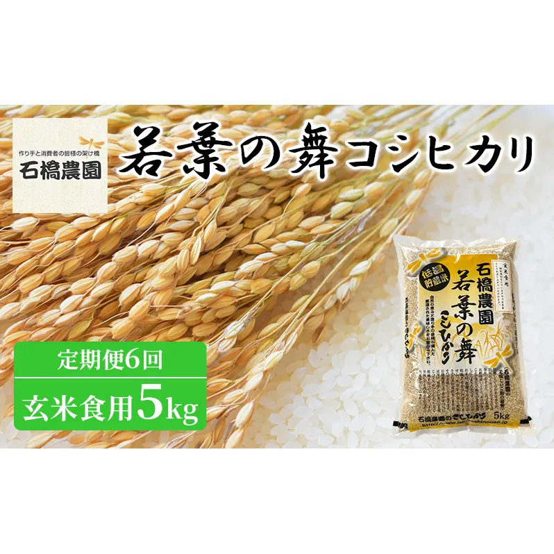 米 若葉の舞 コシヒカリ 玄米食用5kg 定期便6回 こしひかり お米 玄米 定期便 千葉 千葉県 低温保存