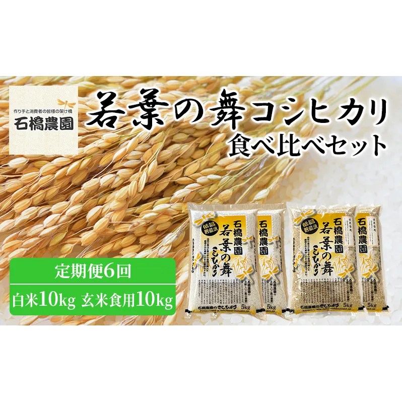 米 若葉の舞 コシヒカリ 白米10kg玄米食用10kg 食べ比べセット 定期便6回 こしひかり お米 白米 玄米 セット 食べ比べ 定期便 精米 千葉 千葉県 低温保存