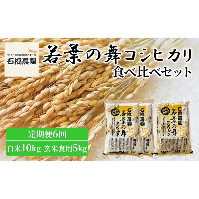 米 若葉の舞 コシヒカリ 白米10kg玄米食用5kg 食べ比べセット 定期便6回 こしひかり お米 白米 玄米 セット 食べ比べ 定期便 精米 千葉 千葉県 低温保存