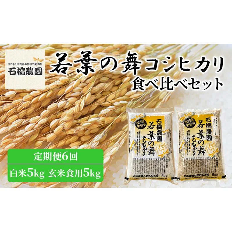 米 若葉の舞 コシヒカリ 白米5kg玄米食用5kg 食べ比べセット 定期便6回 こしひかり お米 白米 玄米 セット 食べ比べ 定期便 精米 千葉 千葉県 低温保存