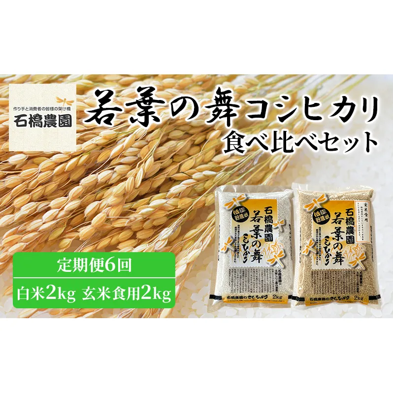 米 若葉の舞 コシヒカリ 白米2kg玄米食用2kg 食べ比べセット 定期便6回 こしひかり お米 白米 玄米 セット 食べ比べ 定期便 精米 千葉 千葉県 低温保存