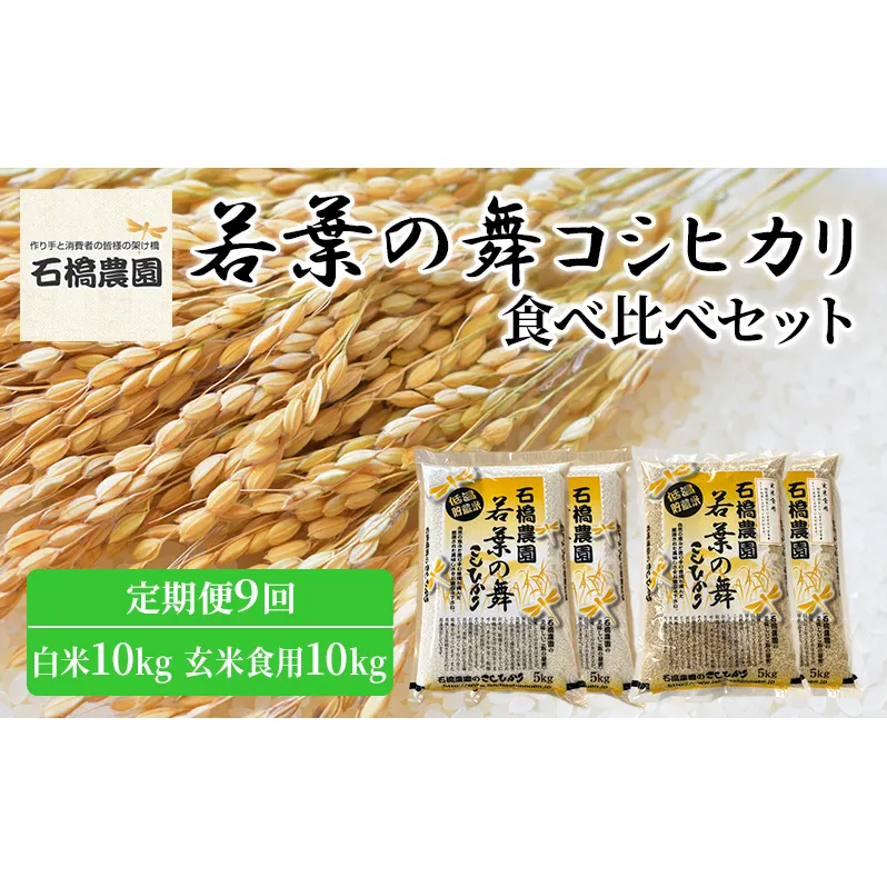 米 若葉の舞 コシヒカリ 白米10kg玄米食用10kg 食べ比べセット 定期便9回 こしひかり お米 白米 玄米 セット 食べ比べ 定期便 精米 千葉 千葉県 低温保存