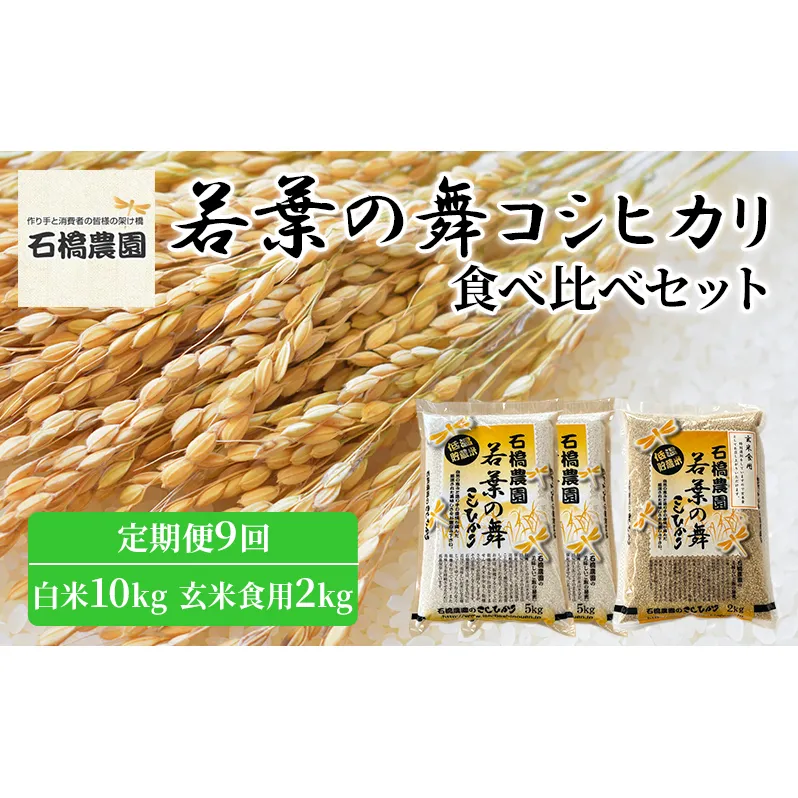 米 若葉の舞 コシヒカリ 白米10kg玄米食用2kg 食べ比べセット 定期便9回 こしひかり お米 白米 玄米 セット 食べ比べ 定期便 精米 千葉 千葉県 低温保存