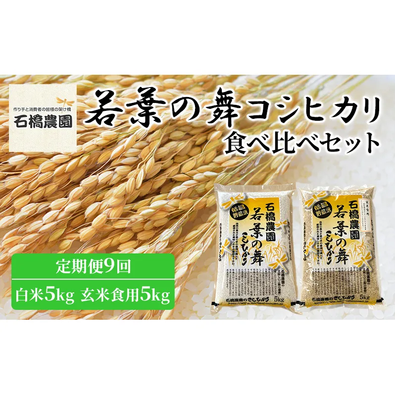 米 若葉の舞 コシヒカリ 白米5kg玄米食用5kg 食べ比べセット 定期便9回 こしひかり お米 白米 玄米 セット 食べ比べ 定期便 精米 千葉 千葉県 低温保存