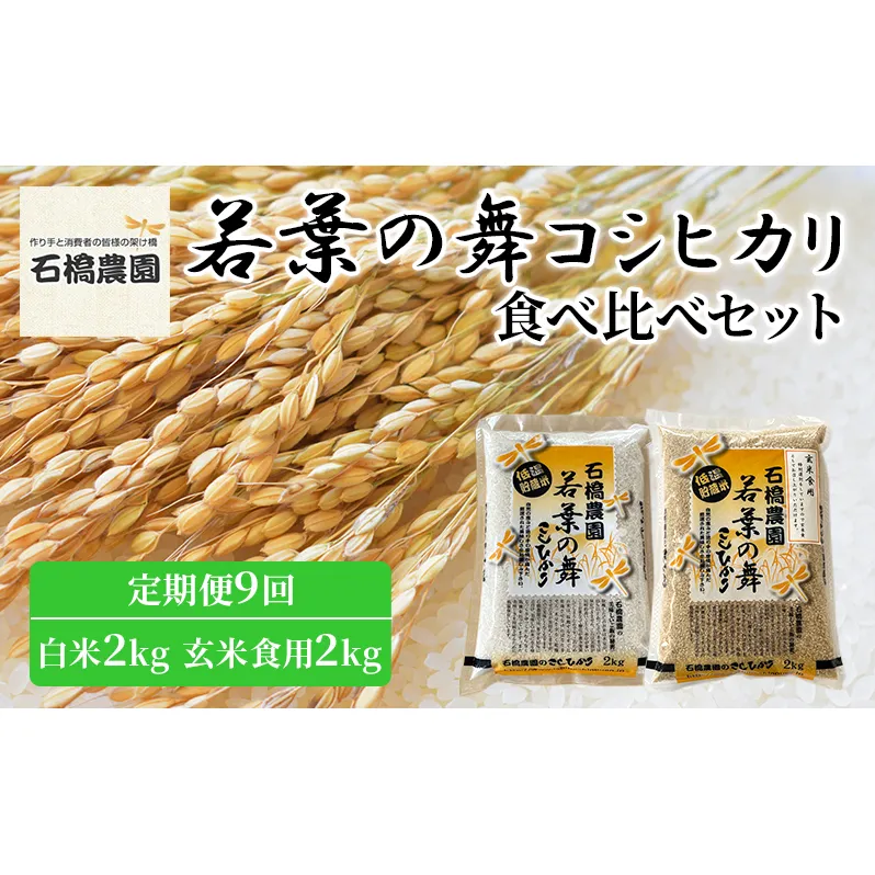 米 若葉の舞 コシヒカリ 白米2kg玄米食用2kg 食べ比べセット 定期便9回 こしひかり お米 白米 玄米 セット 食べ比べ 定期便 精米 千葉 千葉県 低温保存