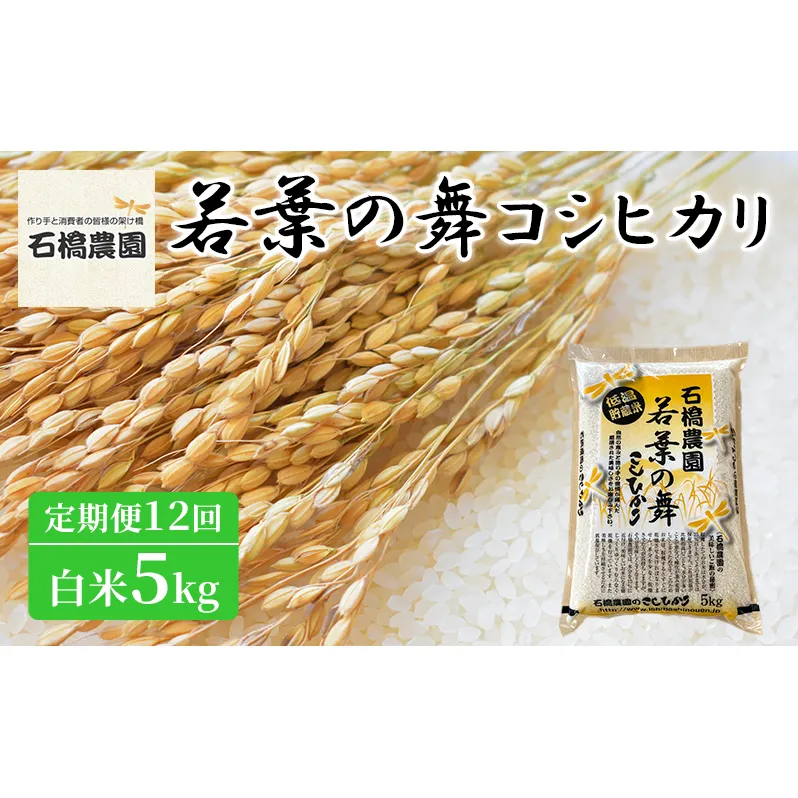 米 若葉の舞 コシヒカリ 白米5kg 定期便12回 こしひかり お米 白米 定期便 精米 千葉 千葉県 低温保存