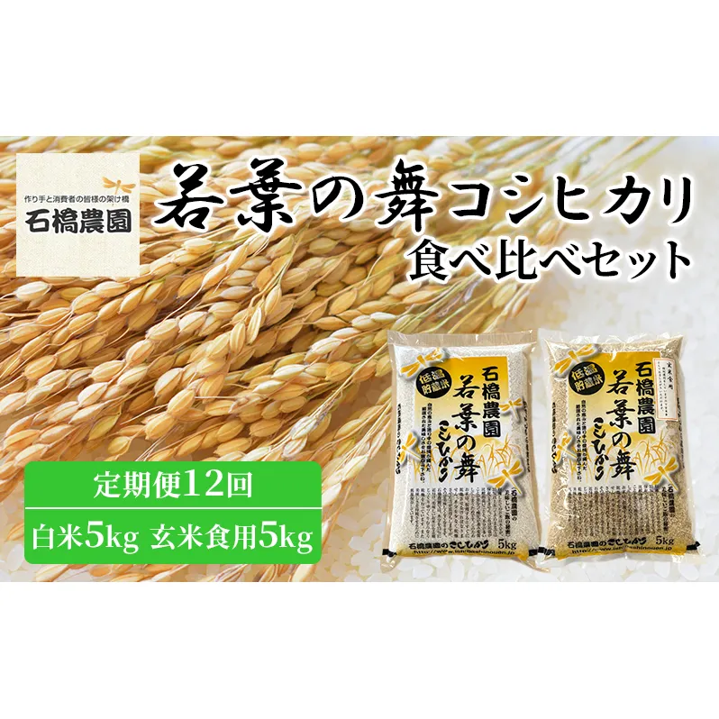 米 若葉の舞 コシヒカリ 白米5kg玄米食用5kg 食べ比べセット 定期便12回 こしひかり お米 白米 玄米 セット 食べ比べ 定期便 精米 千葉 千葉県 低温保存