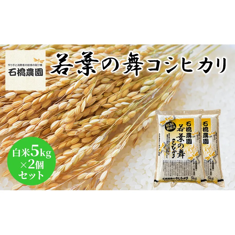 米 若葉の舞 コシヒカリ 白米5kg×2個セット こしひかり セット お米 白米 精米 千葉 千葉県 低温保存