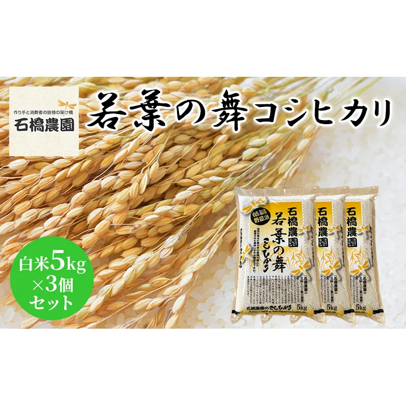 米 若葉の舞 コシヒカリ 白米5kg×3個セット こしひかり セット お米 白米 精米 千葉 千葉県 低温保存