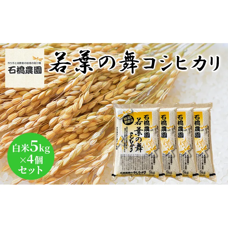 米 若葉の舞 コシヒカリ 白米5kg×4個セット こしひかり セット お米 白米 精米 千葉 千葉県 低温保存