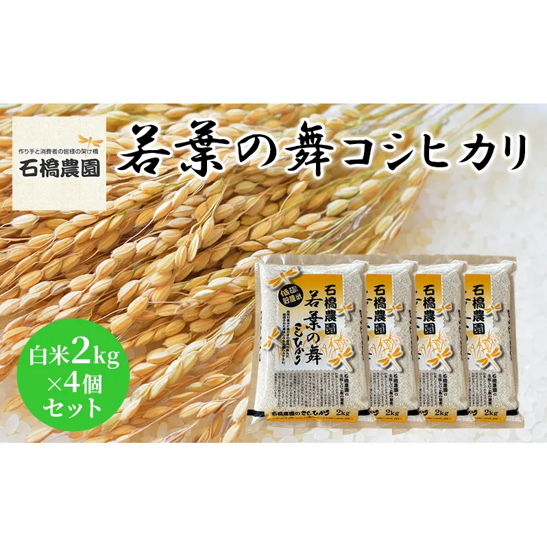 米 若葉の舞 コシヒカリ 白米2kg×4個セット こしひかり セット お米 白米 精米 千葉 千葉県 低温保存