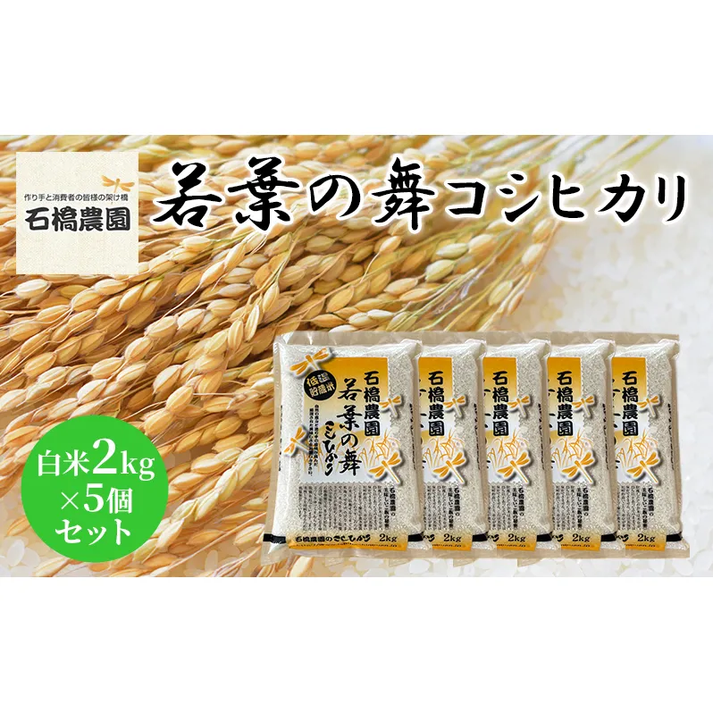 米 若葉の舞 コシヒカリ 白米2kg×5個セット こしひかり セット お米 白米 精米 千葉 千葉県 低温保存